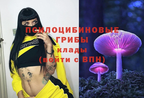 кокаин премиум Алексин