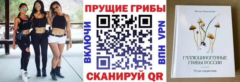что такое наркотик Спас-Деменск Псилоцибиновые грибы Psilocybine cubensis